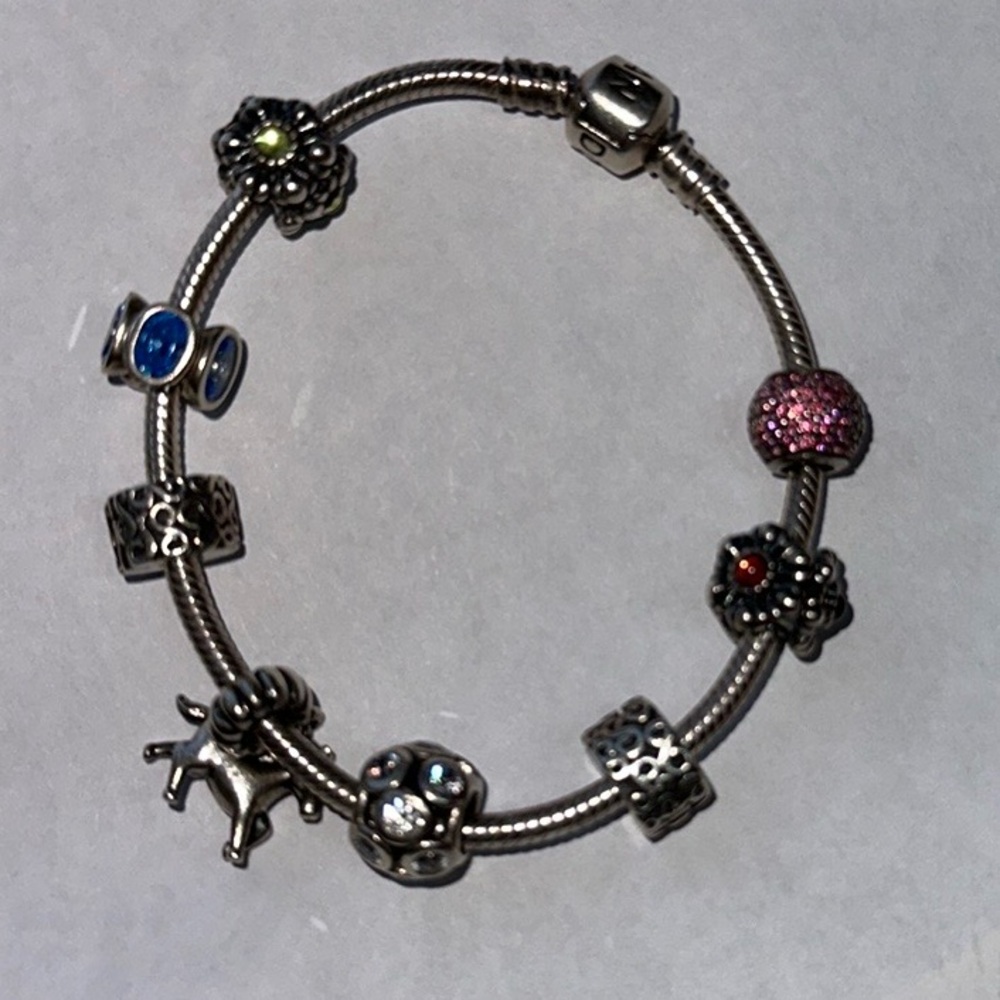 Pandora bracelet with 6 charms.